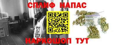 прущие грибы Кунгур