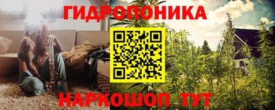 прущие грибы Кунгур
