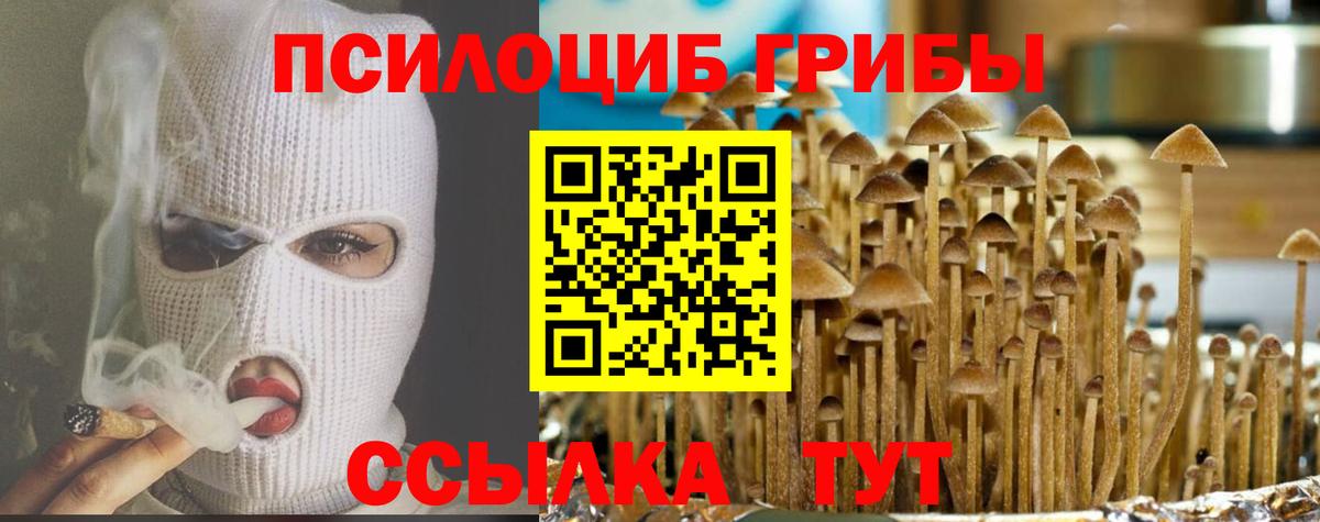 Галлюциногенные грибы Cubensis Кириши